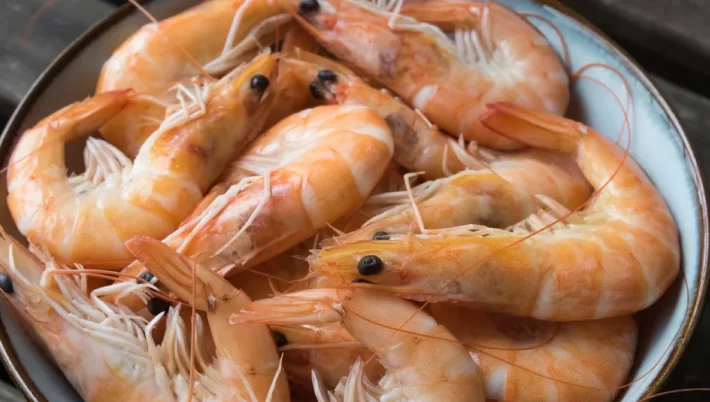 Contoh Usaha Ternak Modal 300 Ribu